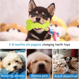 Syenll 2 Pack Dog Chew Toys, Rubber Puppy Teething Toys with Rope, Interactive Treat Set for Small Dogs Pets, Pink+Green - Thumbnail 7