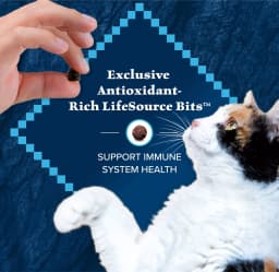 Blue Buffalo Wilderness Natural High Protein Dry Food for Adult Cats, Salmon, 4-lb Bag - Thumbnail 7