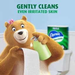 Charmin Ultra Gentle Toilet Paper, 12 Mega Rolls, 231 Sheets Per Roll - Thumbnail 11