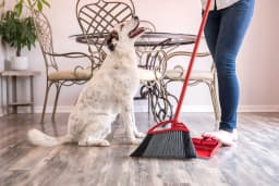 O-Cedar PowerCorner Pet Pro Broom and Dustpan Set Step-on Large - Thumbnail 19