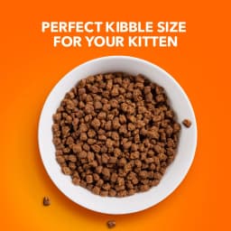 Iams Proactive Health Chicken Dry Cat Food For Kittens, 7 Lb Bag - Thumbnail 12