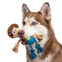 Disney Toy Story 8" Woody Plush Rope Toy - Thumbnail 7