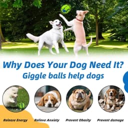 BYXAS Wobble Giggle Ball for Dogs, Interactive Dog Toys for Boredom, Squeaky Ball Dog Toys to Keep Them Busy, Pet Toys for Small Medium Large Dogs - Thumbnail 6