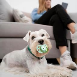 3Pcs New Calming Dog Pacifier Chew Toy, Dog Chewing Pacifier, Pet Silicone Chew Toy for Small Dog Cats - Thumbnail 2