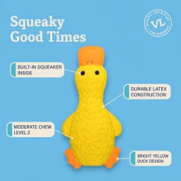 Vibrant Life Yellow Duck Latex Dog Toy with Squeaker, Chew Level 2 - Thumbnail 5