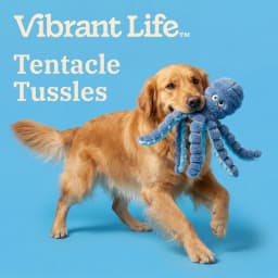 Vibrant Life Gray Octopus Plush Dog Toy with Squeaker, Chew Level 3 - Thumbnail 4
