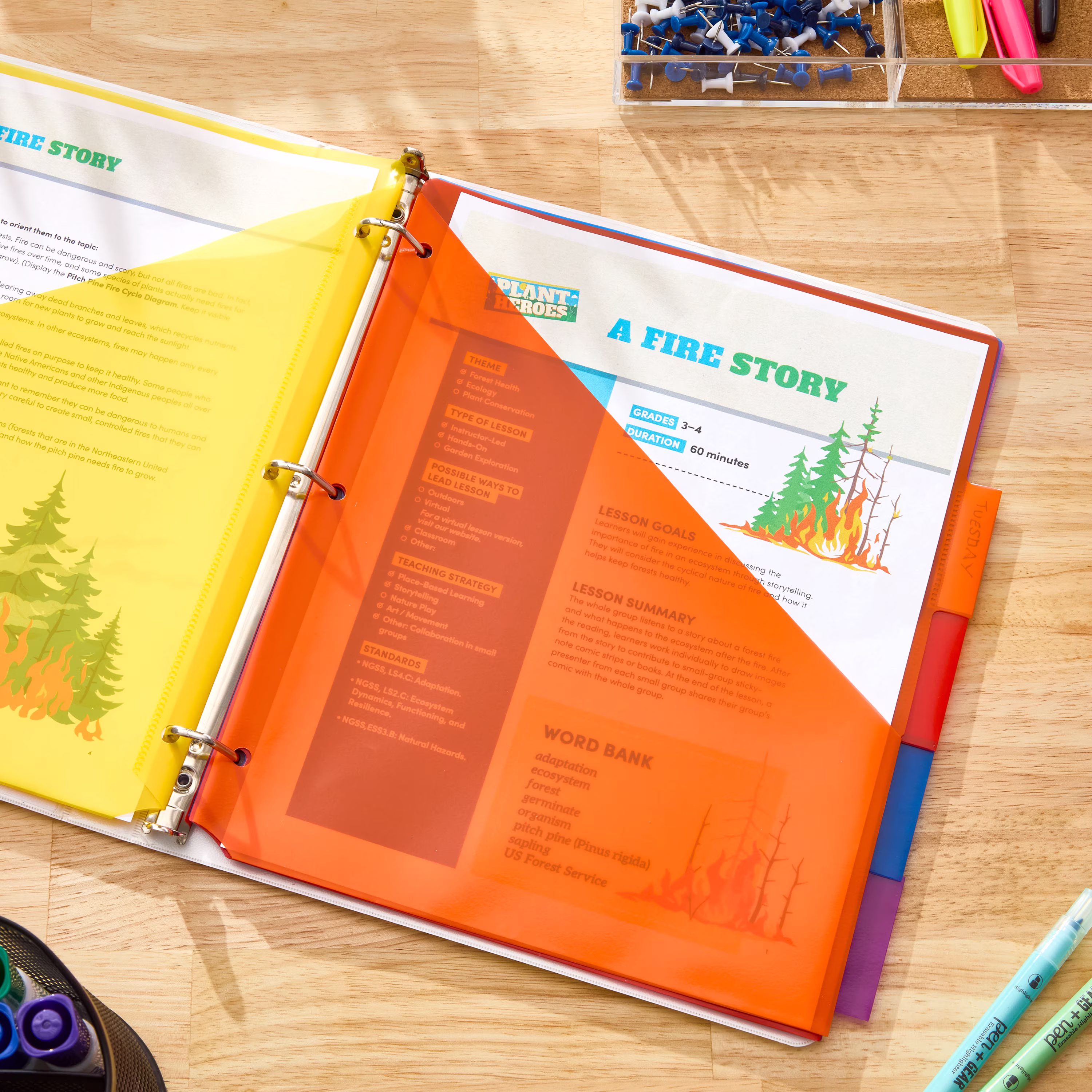 Pen+Gear Vibrant Color 8-Tab Dividers with Pockets - Thumbnail 3