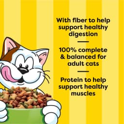 Temptations Dry Cat Food Indoor, Fishin’ For Chicken Flavor, 13.5 Lb Bag - Thumbnail 5