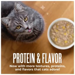 Tiki Cat Friends Wet Cat Food, Chicken & Pumpkin, 2.5 oz. Pouch - Thumbnail 6