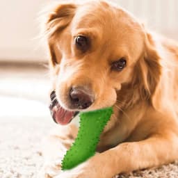 Rubber Dog Toys For Aggressive Chewers,Aggressive Chew Toys For Large Dogs,Heavy Duty Dog Toy ,Dog Bone Toy,Large Dog Toys For Aggressive Chewers - Thumbnail 8