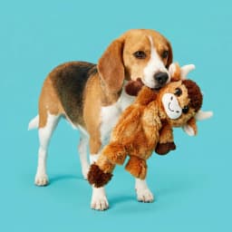 Vibrant Life Brown Longhorn Plush Dog Toy with Crinkle and Squeaker, Chew Level 2 - Thumbnail 2