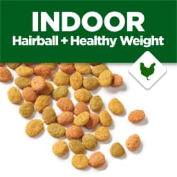 Purina Cat Chow Indoor Healthy Weight and Hairball Dry Cat Food With Chicken, 15 lb - Thumbnail 3