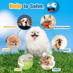 HOLYSTEED Latex Squeaky Dog Toys for Small Dogs, Rubber Soft Dog Balls Flat, Smile Face Fetch Puppy Toys with Squeaker 6pcs - Thumbnail 3