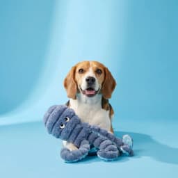 Vibrant Life Gray Octopus Plush Dog Toy with Squeaker, Chew Level 3 - Thumbnail 2