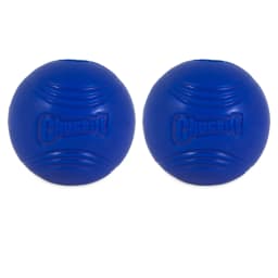 Chuckit! Crunch Ball Rubber Dog Ball Fetch Dog Toy, Blue, Medium 2.5", Pack - Thumbnail 1