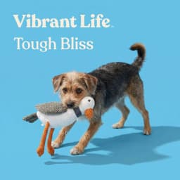 Vibrant Life White Seagull Plush Dog Toy with Squeaker, Chew Level 4 - Thumbnail 4