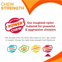 Nylabone Power Chew Original Bone Dog Toy, Dog Chew Toy, Chicken Flavor, X-Small, 1 Count - Thumbnail 4
