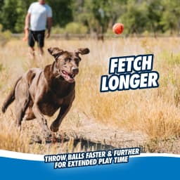 Chuckit! High Bounce Ball Rubber Fetch Dog Toy, Large 3" for Large Dogs Up To 90 lb, Pack of 1, Assorted - Thumbnail 8