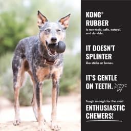 KONG® Extreme Ball with Rope Durable Dog Toy, Large, for Dogs Between 30-65 lbs - Thumbnail 5