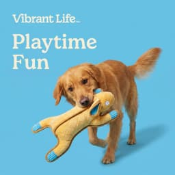 Vibrant Life Brown Bunny Plush Dog Toy with Squeaker, Chew Level 4 - Thumbnail 4