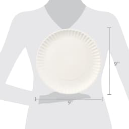 Great Value Uncoated Paper Plates, 9 in, 300 Count - Thumbnail 6