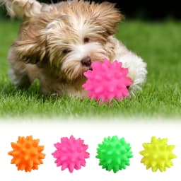 Spike Ball Cat & Dog Toy - Interactive Pet Chew Toy with Massaging Spikes for Dental Health - Durable, Safe Pet Toy for Cats & Dogs - Promotes Play - Thumbnail 1