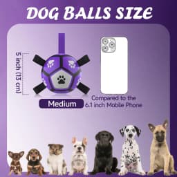 QDAN Durable Dog Toys Soccer Ball with Nylon Straps Hand Pump for Puppies Small Dogs, Purple & Gray, 5-inch - Thumbnail 2