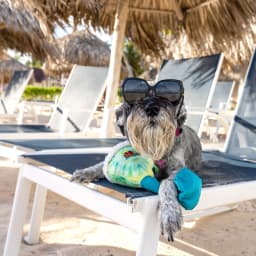 Multipet Margaritaville Margarita Glass, Plush Dog Toy, Squeaker and Crinkle Noise, Tie Dye Pattern with a Smiley Face Lime - Thumbnail 9