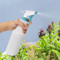 Mainstays Plastic Clear Spray Bottle with Teal Lid and Nozzle, 28 oz - Thumbnail 6