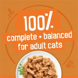 Purina Friskies Chicken Lovers Prime Filets & Shreds Wet Cat Food Variety Pack, 5.5 oz Cans (32 Pack) - Thumbnail 6