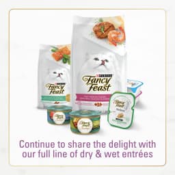 Purina Fancy Feast Indoor Dry Cat Food, Chicken & Turkey, 3 lb Bag - Thumbnail 7