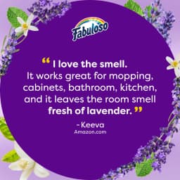 (2 pack) Fabuloso 2X Multi-Purpose Cleaner, No Rinse Floor Cleaner, Lavender Scent, 16.9 fl oz - Thumbnail 10