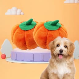 ​2 Pack Durable Pumpkin Chew Toys for Dogs & Cats - Tough Dental Teething Puppy Kitten Toys, Halloween Orange Pet Chewers (5.5 Inch)​​ Orange - Thumbnail 4
