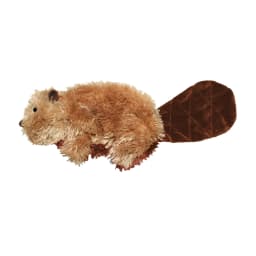 KONG® Dr.Noyz Dog Toy with Squeaker, Beaver, Small for Dogs Up to 20 lbs - Thumbnail 1