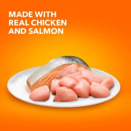 Iams Proactive Health Chicken And Salmon Dry Cat Food, 7 Lb Bag - Thumbnail 3