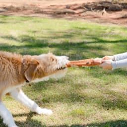 Pet Deluxe Crinkle Dog Toy Plush Toy Tug-of-War Squeaky Dog Toy Boredom Buster Toys with Snack Pockets Durable Enrichment Mentally Stimulating Toys - Thumbnail 3