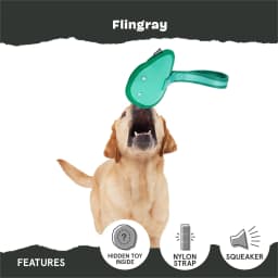 BARK Super Chewer Flingray Tug Ocean Sting Ray Blue Rubber Dog Toy - Thumbnail 4