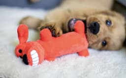 Multipet Smiling Loofa Plush Dog Toy with Squeaker, 6 inch - Thumbnail 11
