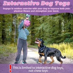 QDAN Durable Dog Toys Soccer Ball with Nylon Straps Hand Pump for Puppies Medium Large Dogs, Pink & Purple, 6-inch - Thumbnail 6