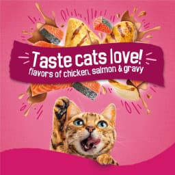 Purina Friskies Gravy Swirlers Dry Cat Food Flavors of Chicken, Salmon and Gravy, 22 lb Bag - Thumbnail 3