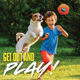 Nerf Dog X-Weave Squeak Soccer Ball for Large Dogs - Thumbnail 4