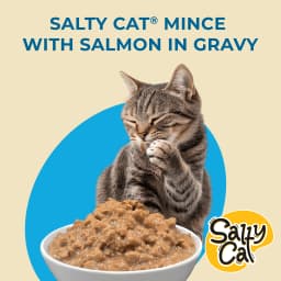 (6 pack) Salty Cat Minced Salmon Flavor in Gravy Wet Cat Food, 13 oz Can - Thumbnail 10