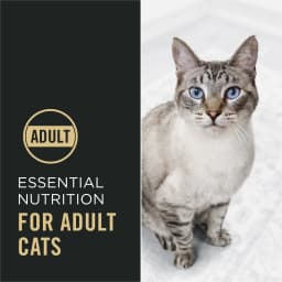 Purina Pro Plan High Protein Cat Food With Probiotics for Cats, Salmon and Rice Formula, 3.5 lb. Bag - Thumbnail 3