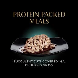 Sheba Wet Cat Food Cuts in Gravy Savory Mixed Grill Entree Perfect Portions Twin-Pack Tray, 2.6 oz - Thumbnail 6