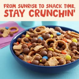 Cinnamon Toast Crunch Breakfast Cereal, Crispy Cinnamon Cereal, Family Size, 18.8 oz - Thumbnail 6