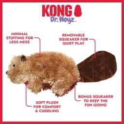 KONG® Dr.Noyz Dog Toy with Squeaker, Beaver, Small for Dogs Up to 20 lbs - Thumbnail 2