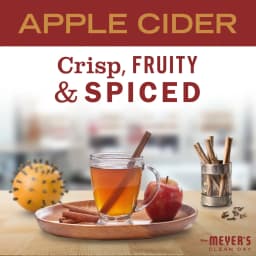 Mrs. Meyer's Clean Day Liquid Dish Soap, Apple Cider Scent, 16 Fl Oz Bottle - Thumbnail 4