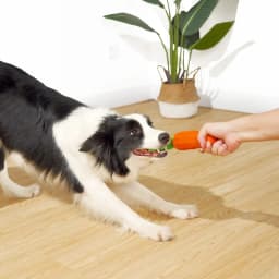 Easter Dog Squeaky Chew Toys for Aggressive Chewers, Rubber Carrot Dog Toys for Training and Cleaning, Durable Interactive Tough Dog Toy for Medium - Thumbnail 5
