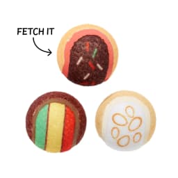 BARK Ballscoti Cookies Multi-Color Italian Cookies Squeaky Tennis Ball Dog Toy - Thumbnail 2