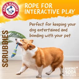Arm & Hammer Scrubbies Throw N' Tug Adult Dental Dog Chew Toy Small - Thumbnail 5